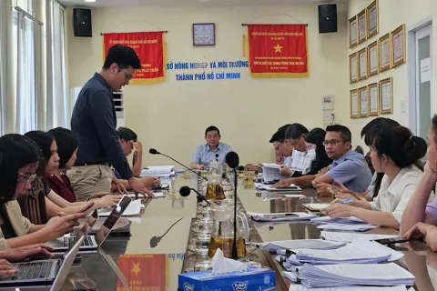 TP Hồ Chí Minh tiếp tục gỡ vướng pháp lý cho 3 dự án