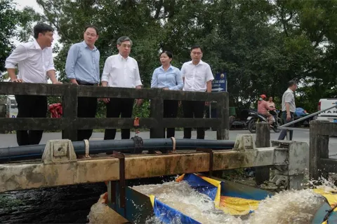 TP Hồ Chí Minh: khảo sát tình trạng ngập úng tại “thủ phủ mai vàng” Bình Lợi