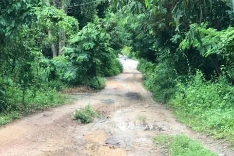 TP Hồ Chí Minh: nghịch tử sát hại mẹ, chém trọng thương chị gái
