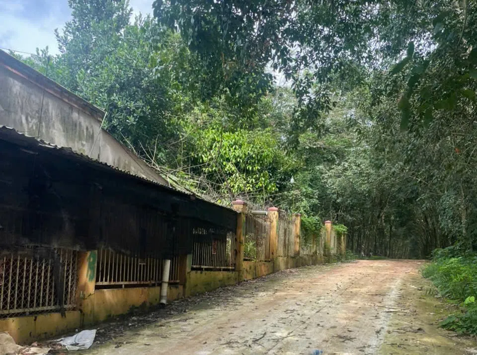 Hình ảnh 1