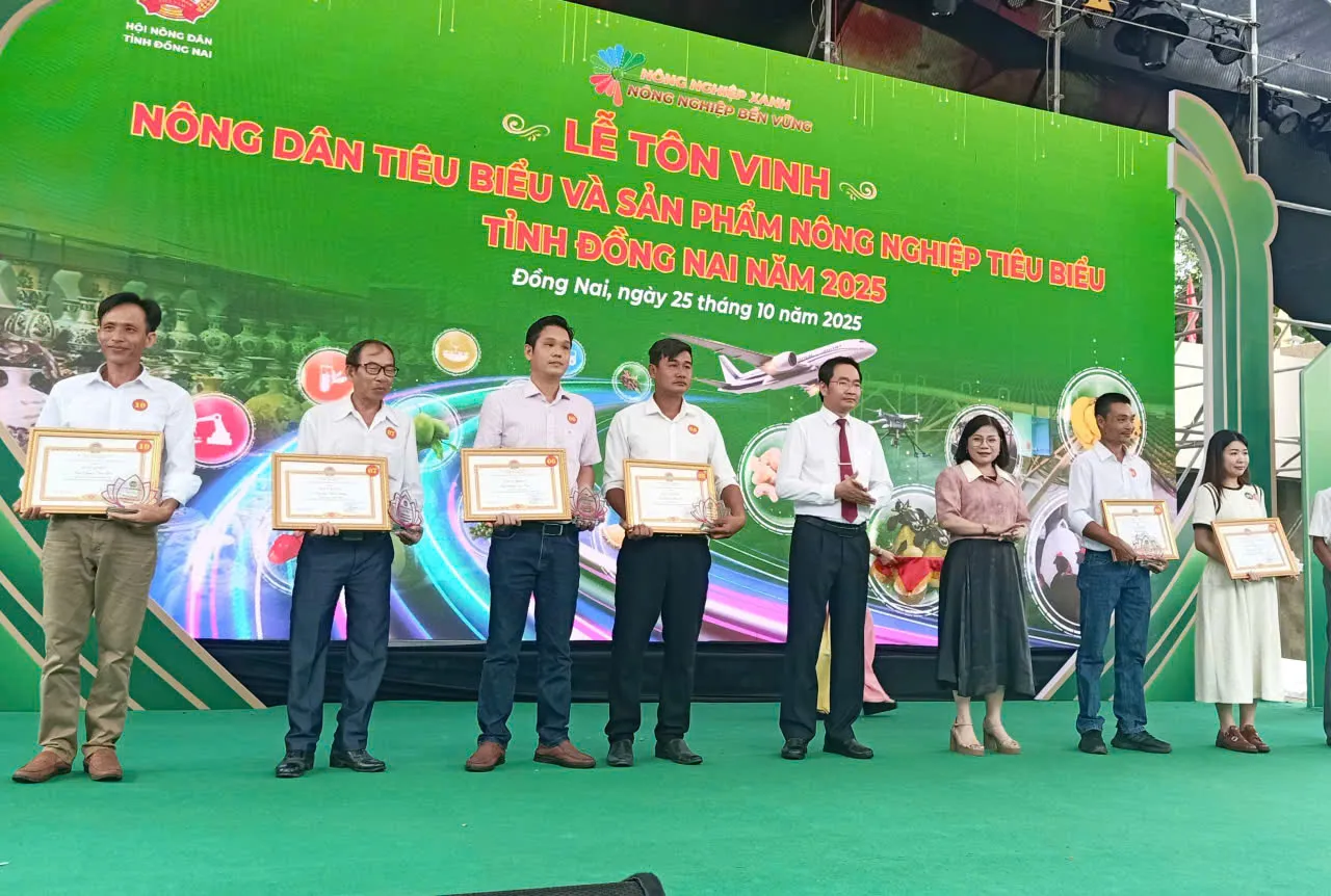 Hình ảnh 7