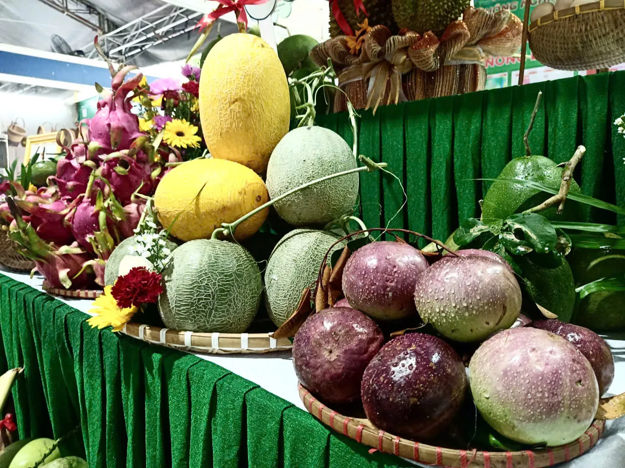 Hình ảnh 1