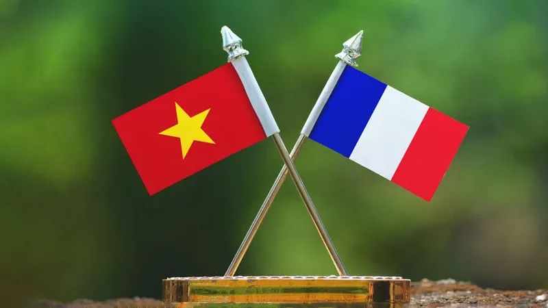 Hình ảnh 2