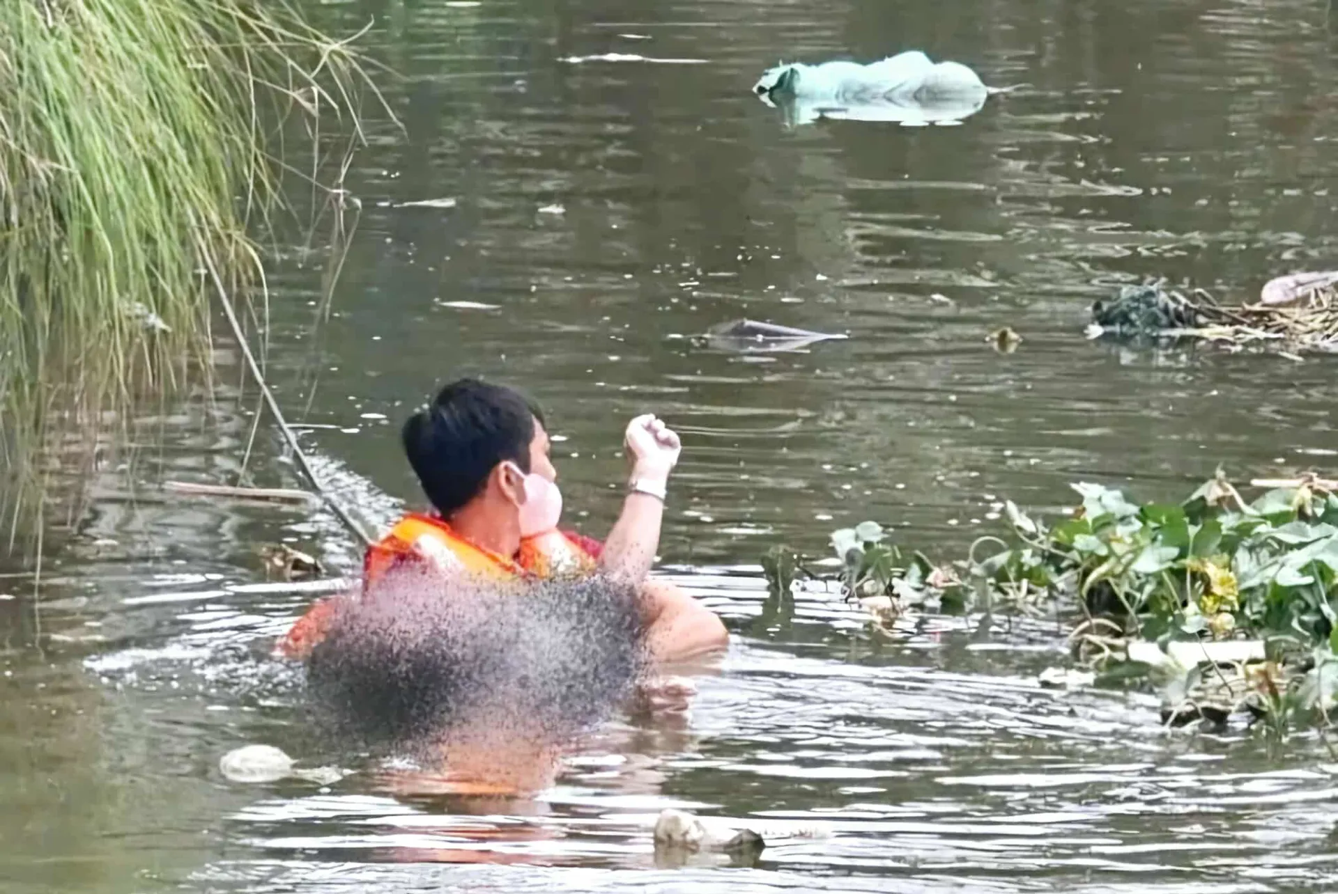 Hình ảnh 2
