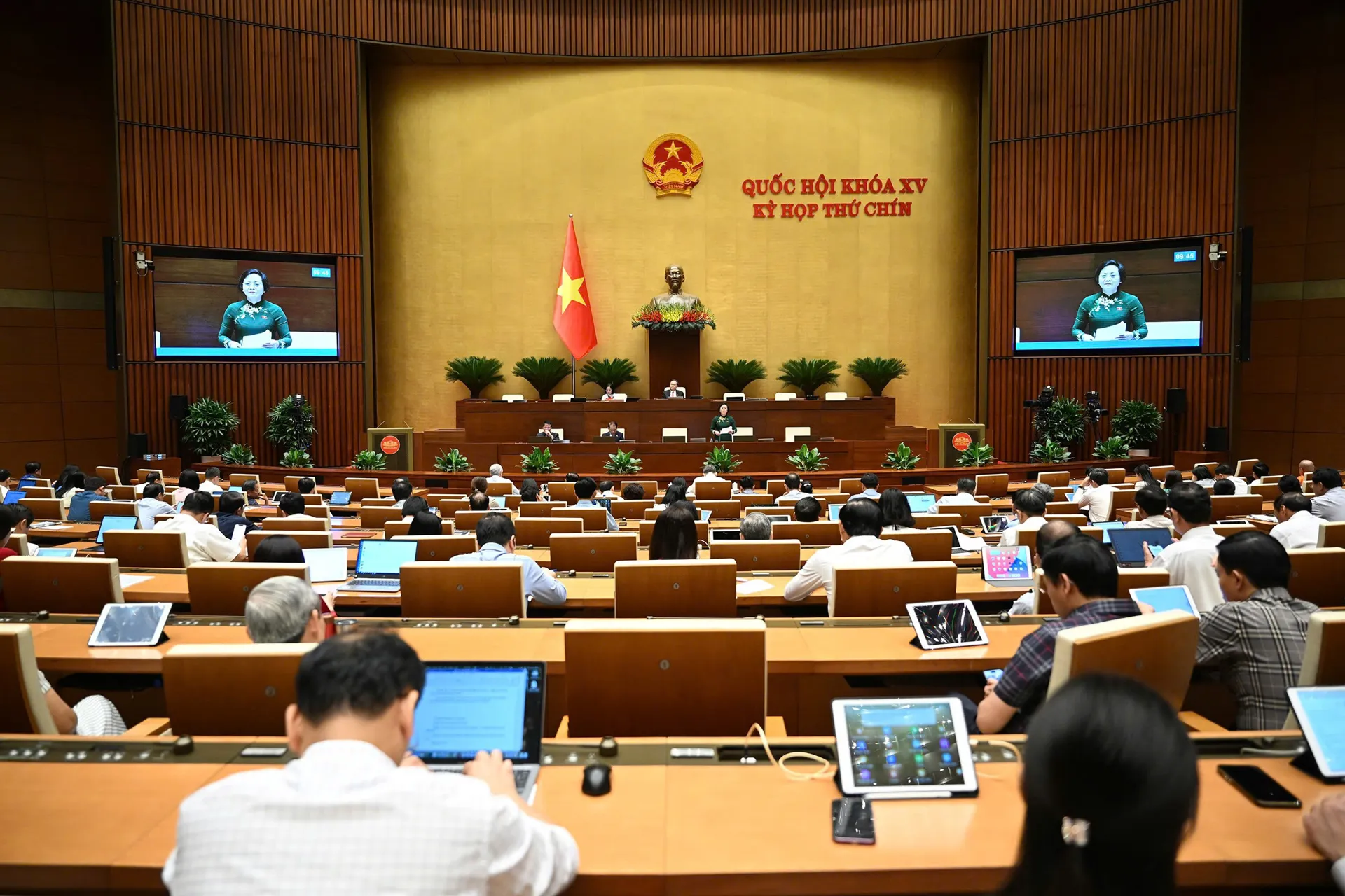 Hình ảnh 2