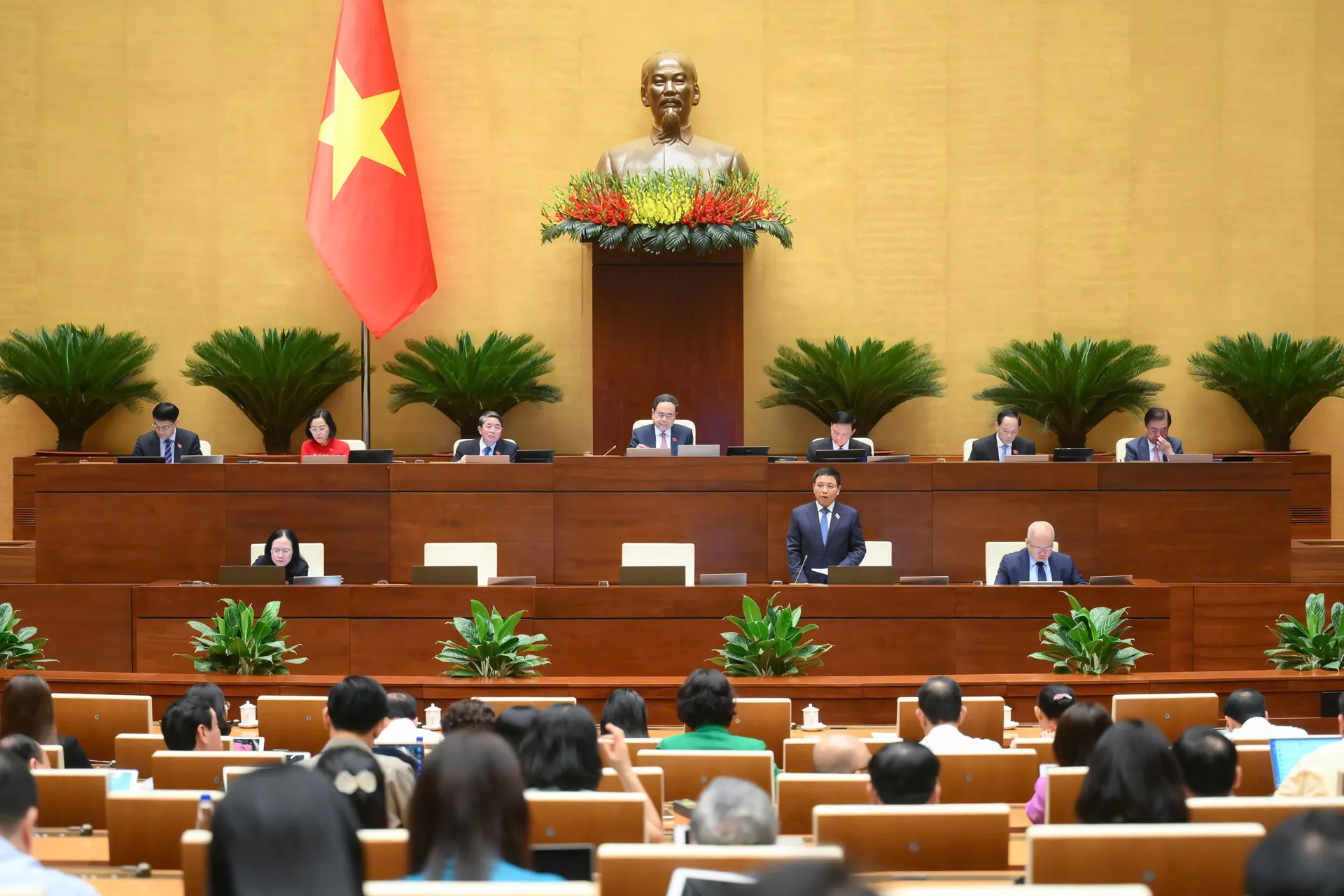 Hình ảnh 2