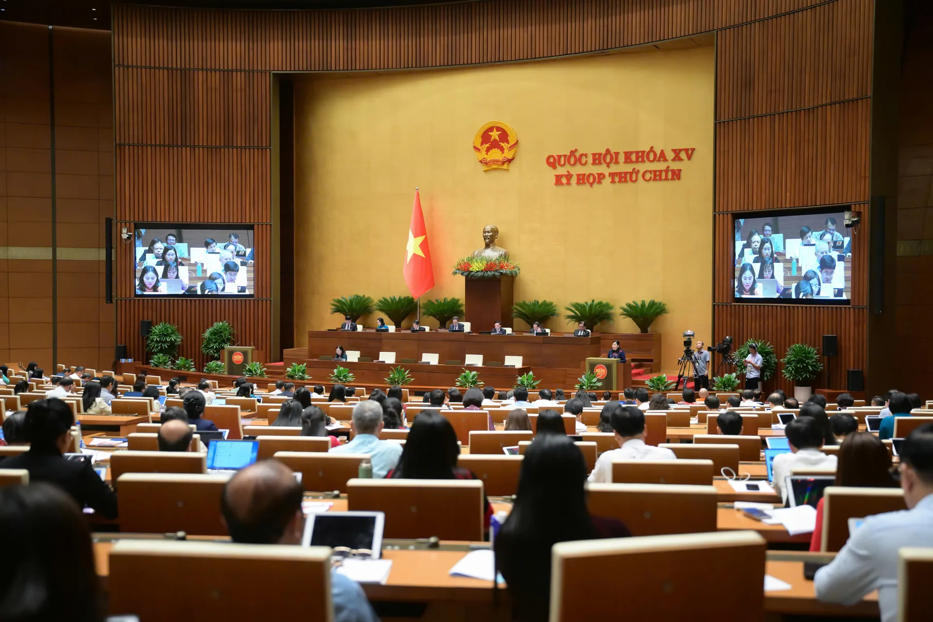 Hình ảnh 2