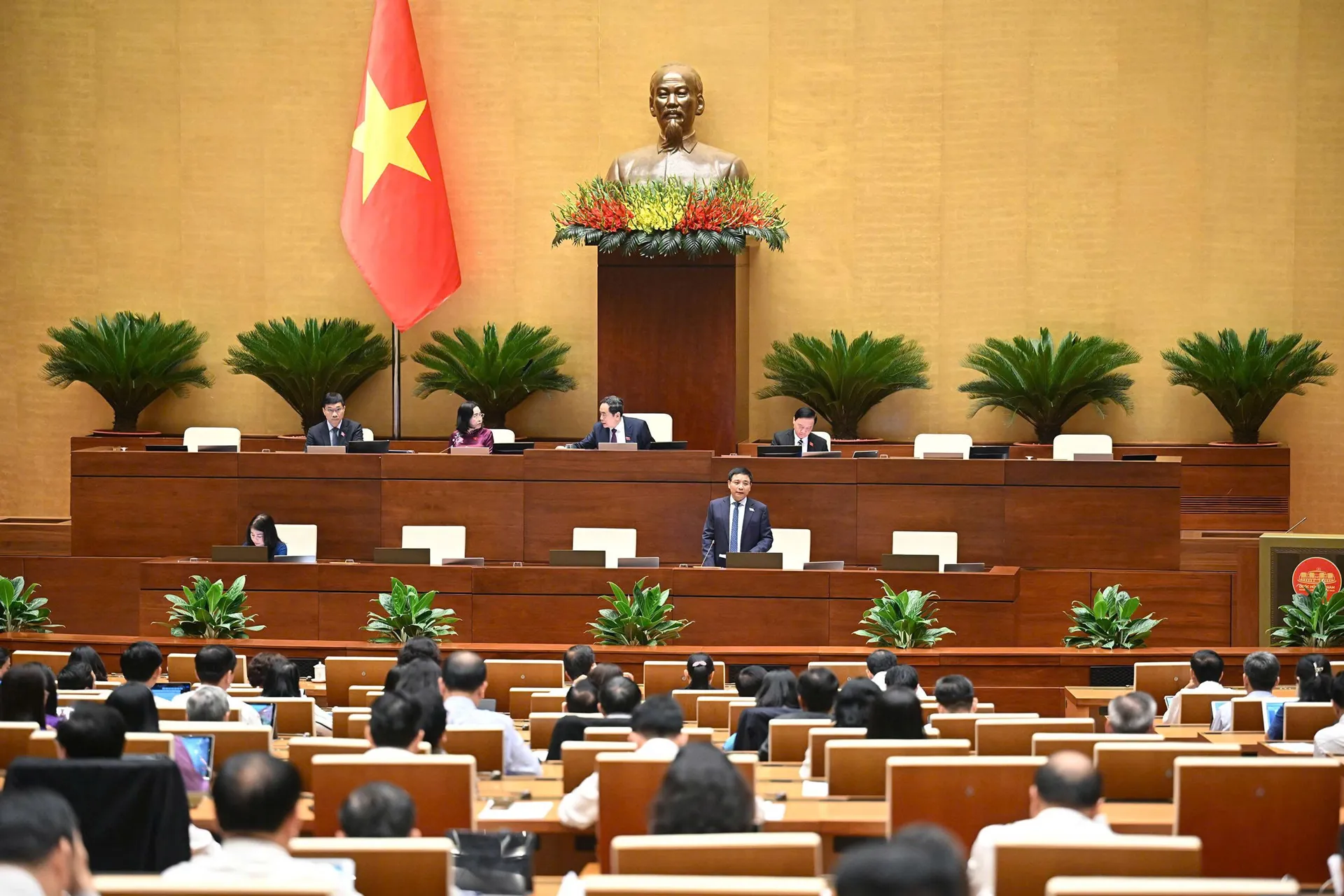 Hình ảnh 3