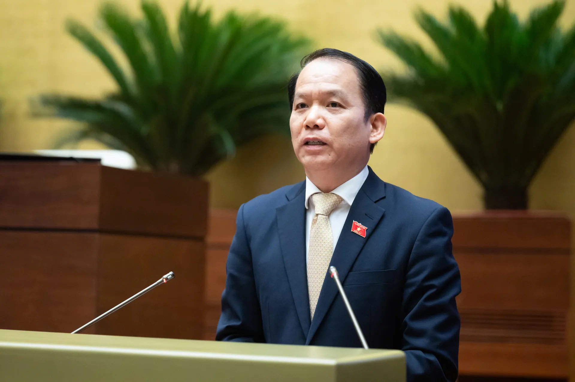 Hình ảnh 3