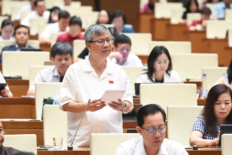 Đại biểu Quốc hội đề xuất có cơ chế hỗ trợ nhóm "nhà trẻ"