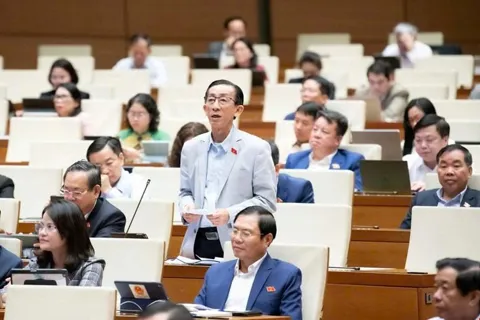 Đại biểu Quốc hội đề xuất hoàn thuế cho các đơn vị, hộ kinh doanh bị "mất trắng" do thiên tai