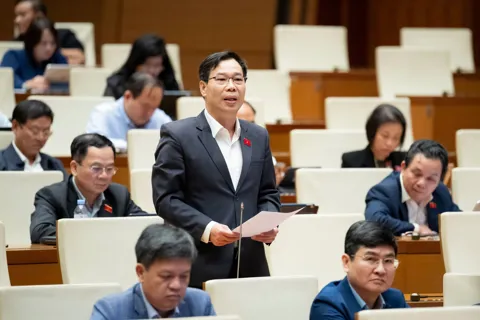 Đại biểu Quốc hội: Chờ hỗ trợ từ ngân sách sẽ lỡ "thời điểm vàng" xử lý khủng hoảng bảo hiểm tiền gửi
