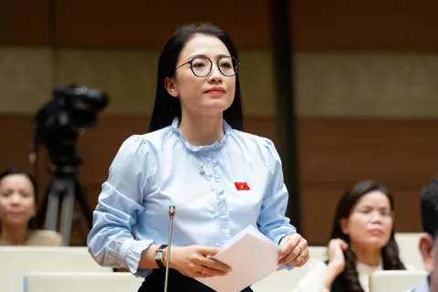 Đại biểu Quốc hội gợi ý đưa vàng vào mặt hàng bình ổn giá