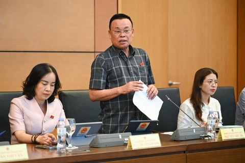 ĐB Quốc hội: người dân không thể cứ "ngậm đắng nuốt cay" khi dùng sản phẩm kém chất lượng
