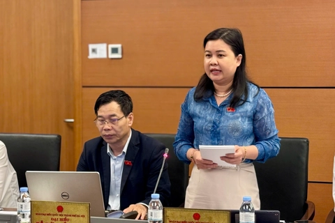 Đại biểu Quốc hội: quy định cụ thể trách nhiệm của UBND, Chủ tịch UBND, tránh tuỳ nghi áp dụng
