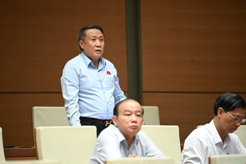 Miễn thuế sử dụng đất nông nghiệp cần có ràng buộc, tránh việc "ôm đất chờ thời"