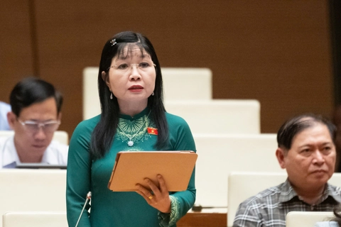 ĐB Quốc hội: cần bổ sung chính sách vượt trội để hạn chế tác động đến môi trường
