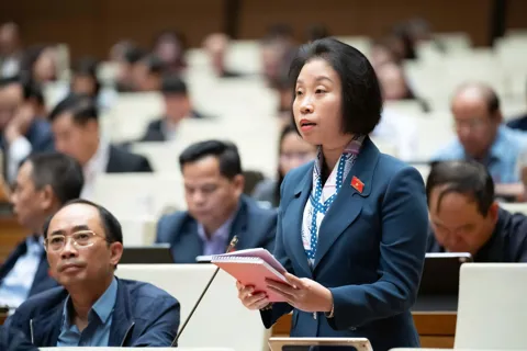 Đại biểu Quốc hội Phạm Thị Thanh Mai kiến nghị điều chỉnh quy định giao chỉ tiêu vay ODA khi địa phương không bội chi