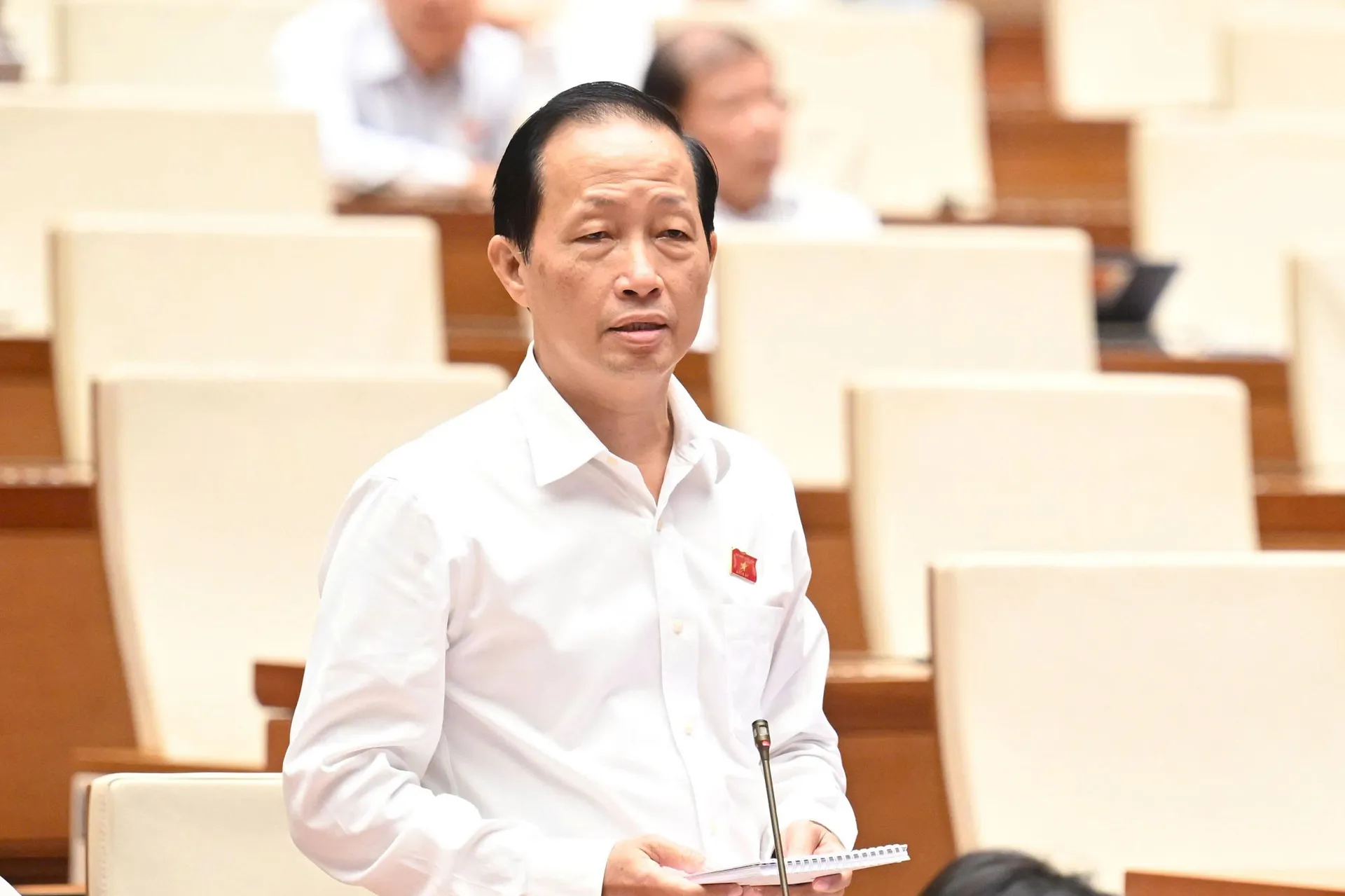 Hình ảnh 2