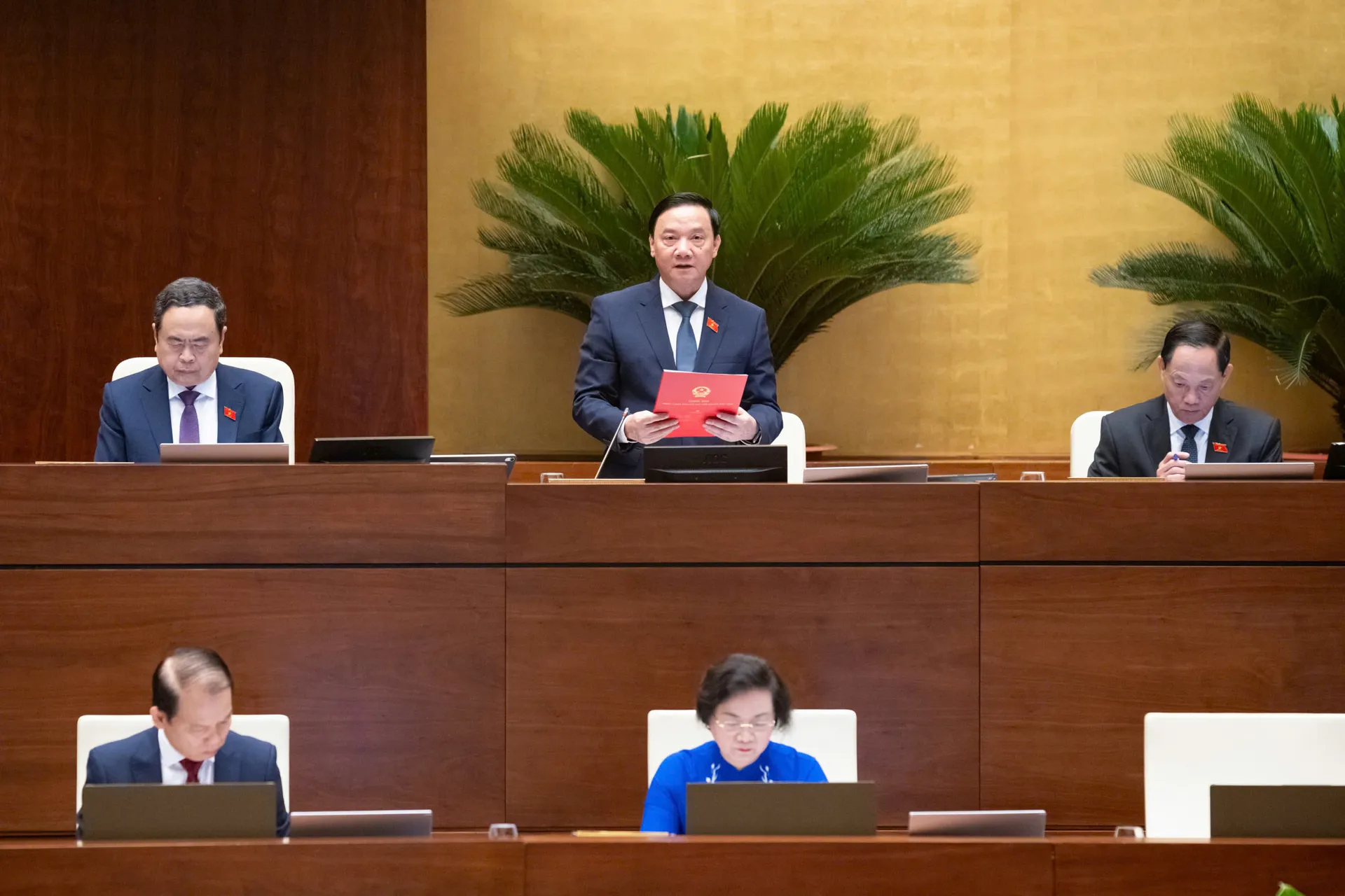 Hình ảnh 2
