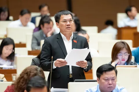 Cần có cơ chế linh hoạt trong bổ nhiệm giám định viên tư pháp
