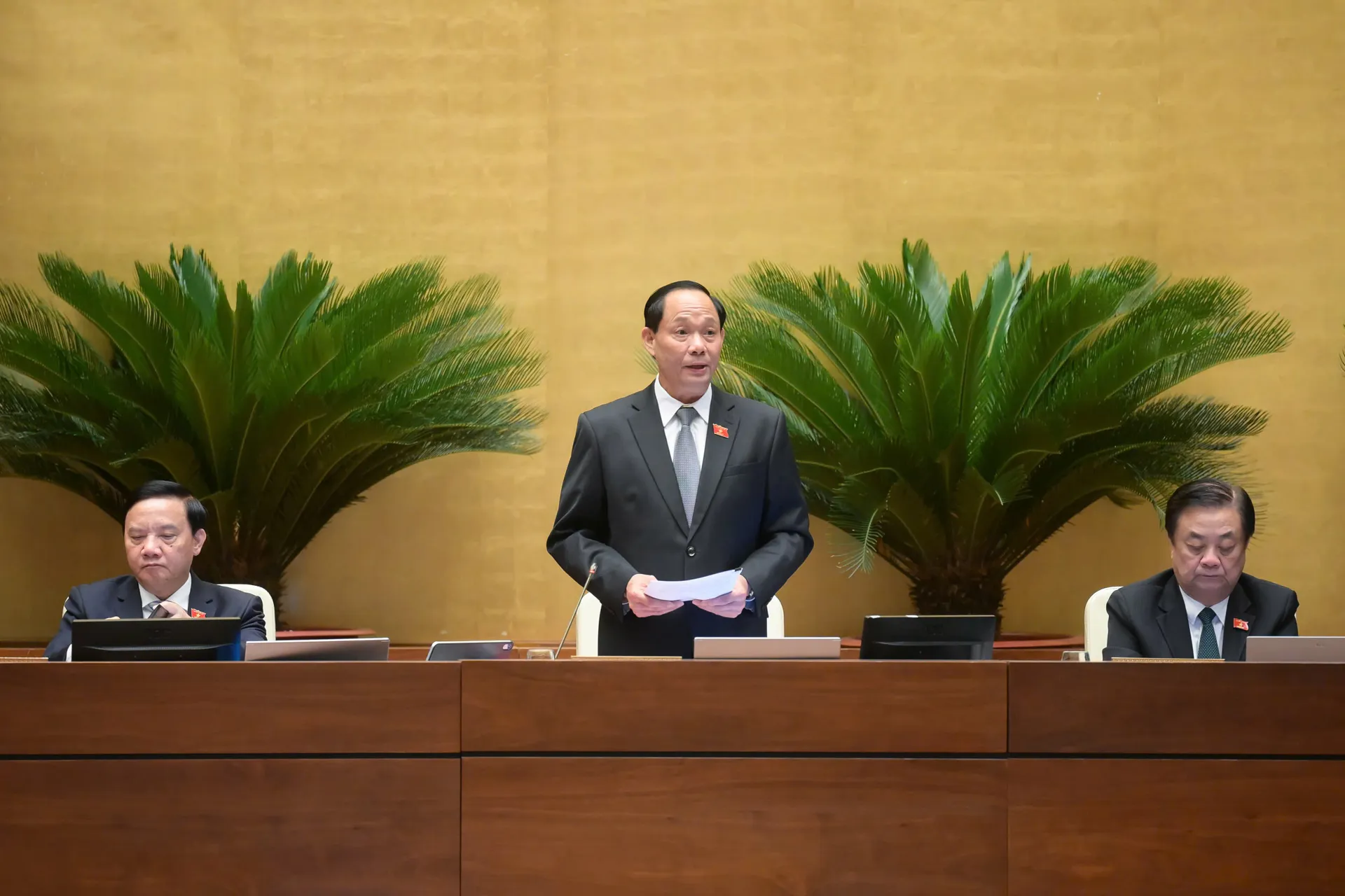 Hình ảnh 1