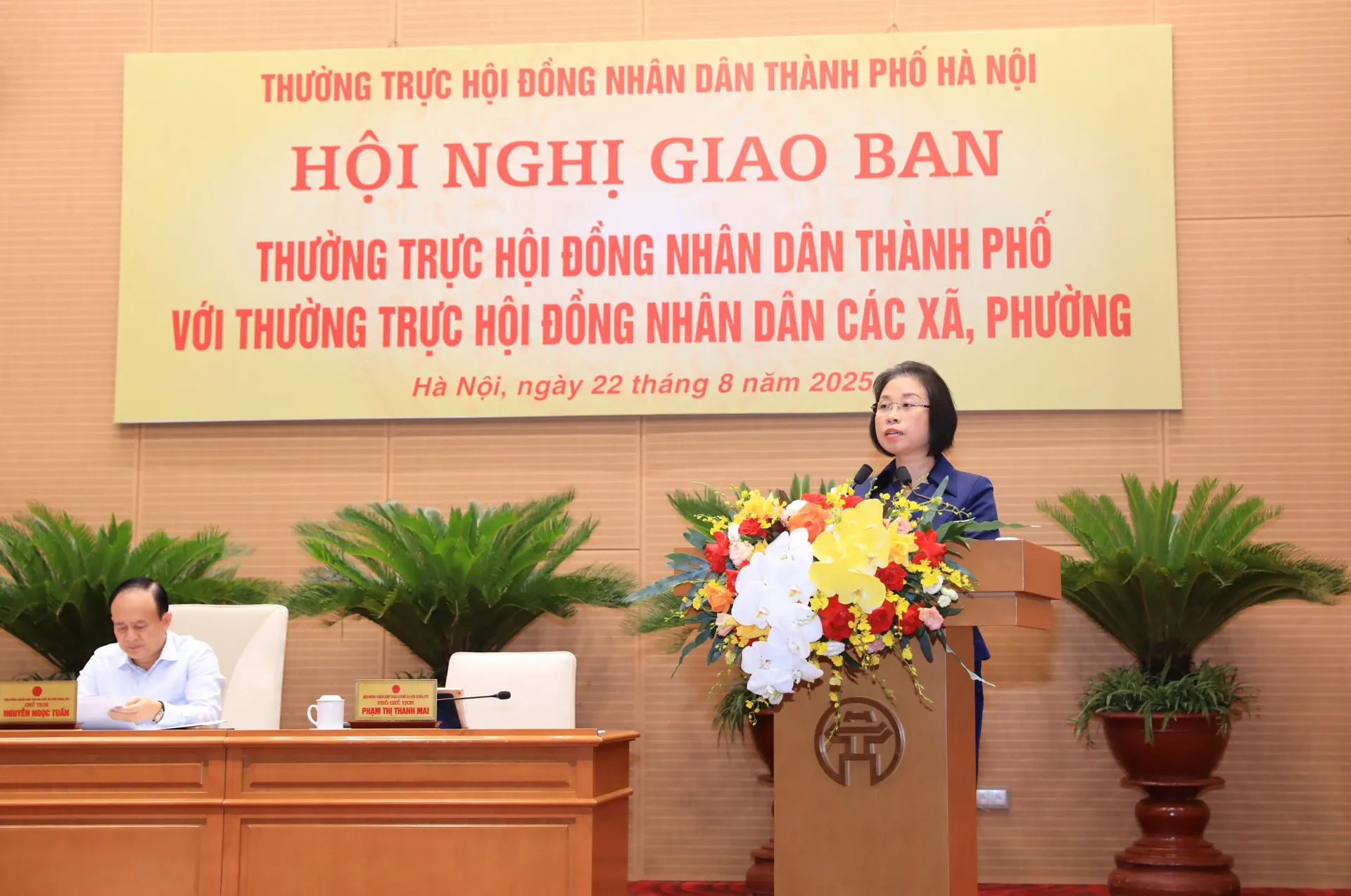 Hình ảnh 2