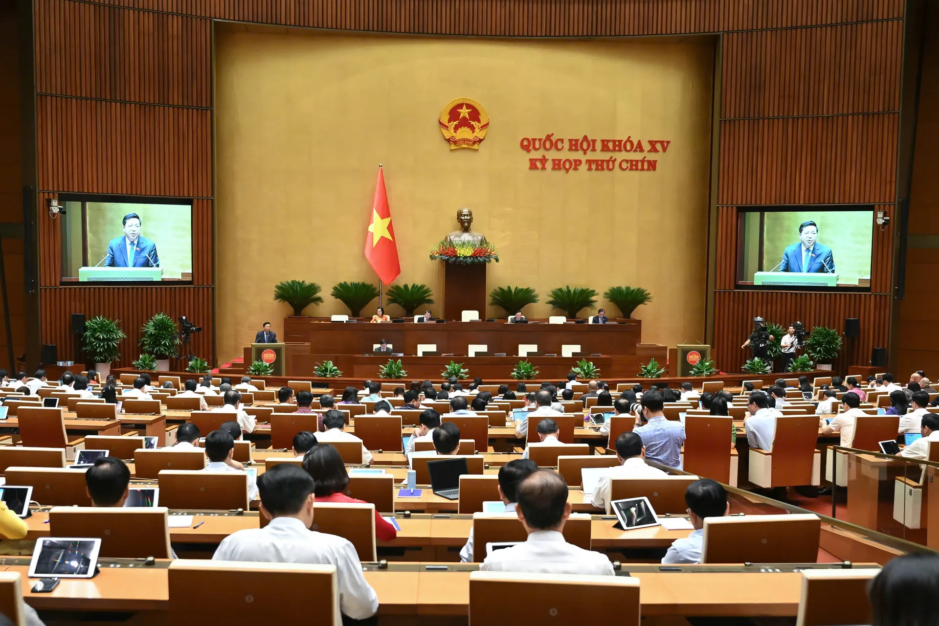 Hình ảnh 2
