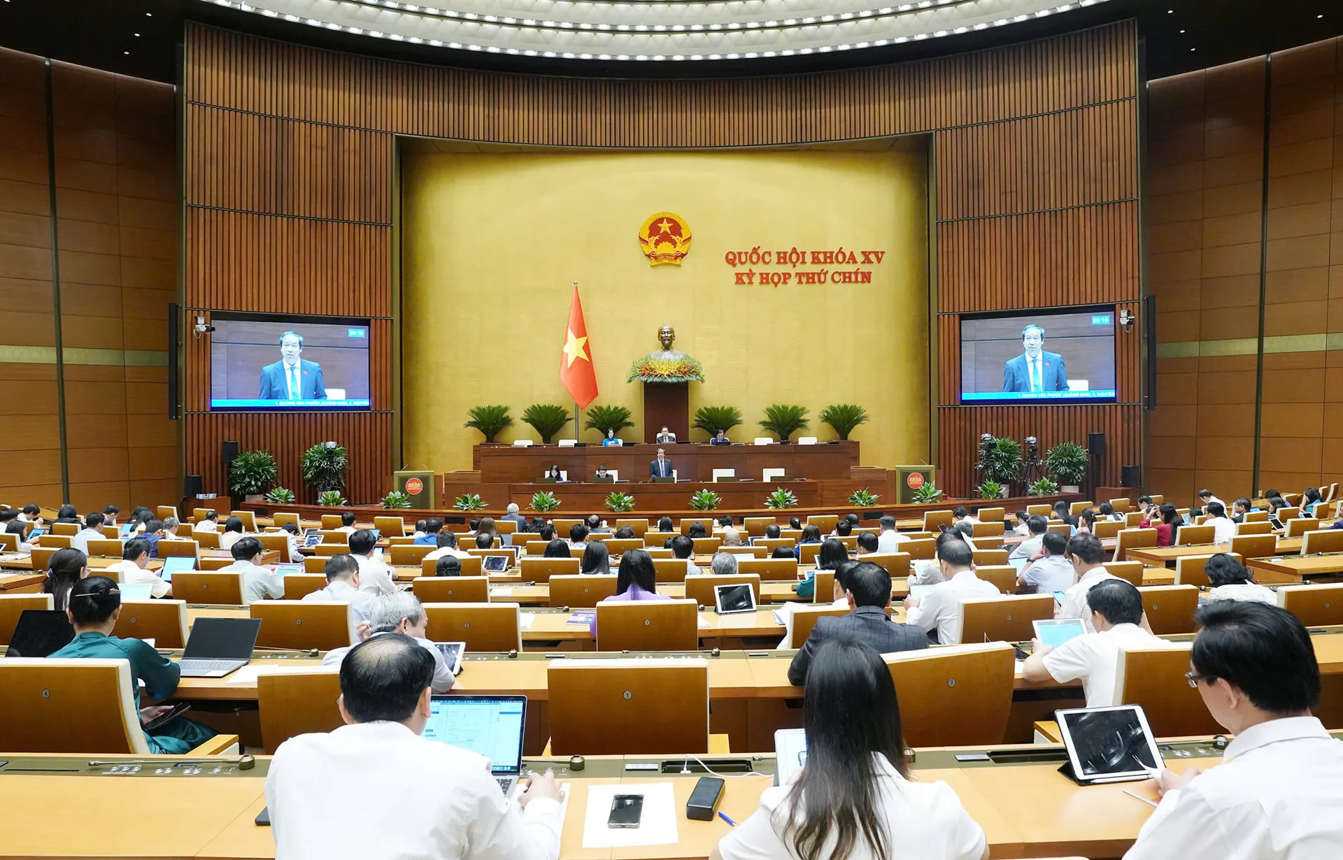 Hình ảnh 2