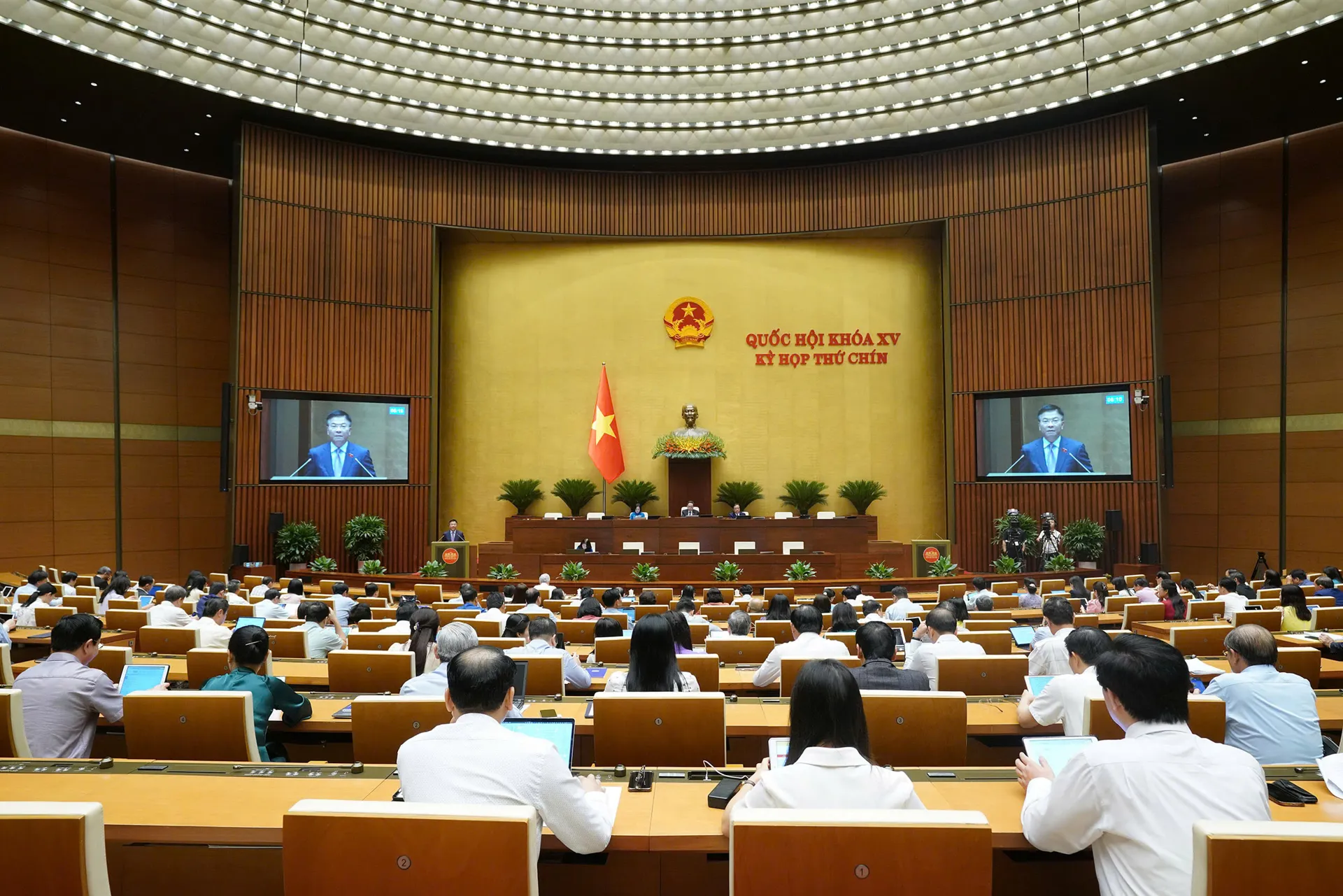 Hình ảnh 3
