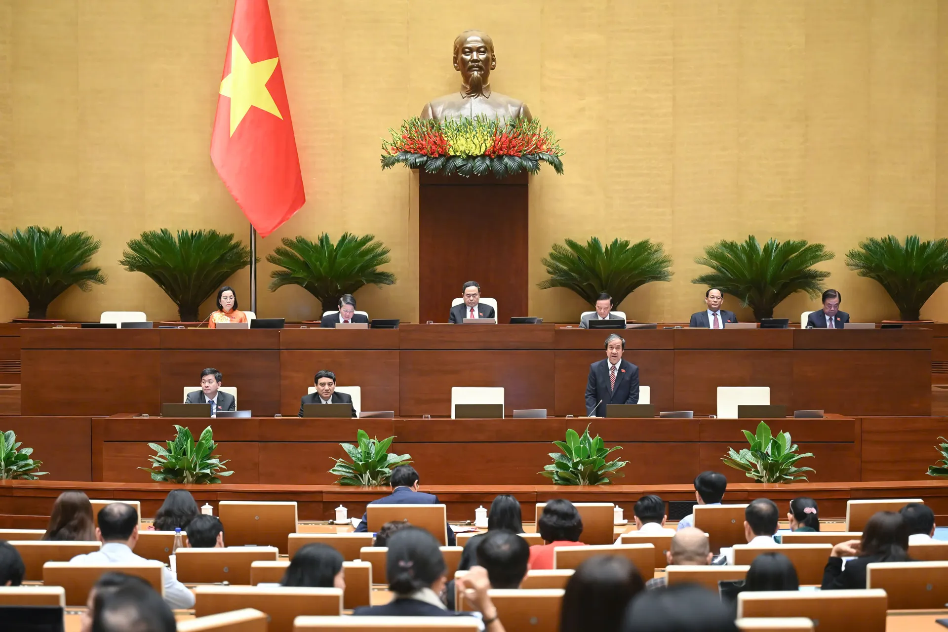 Hình ảnh 2