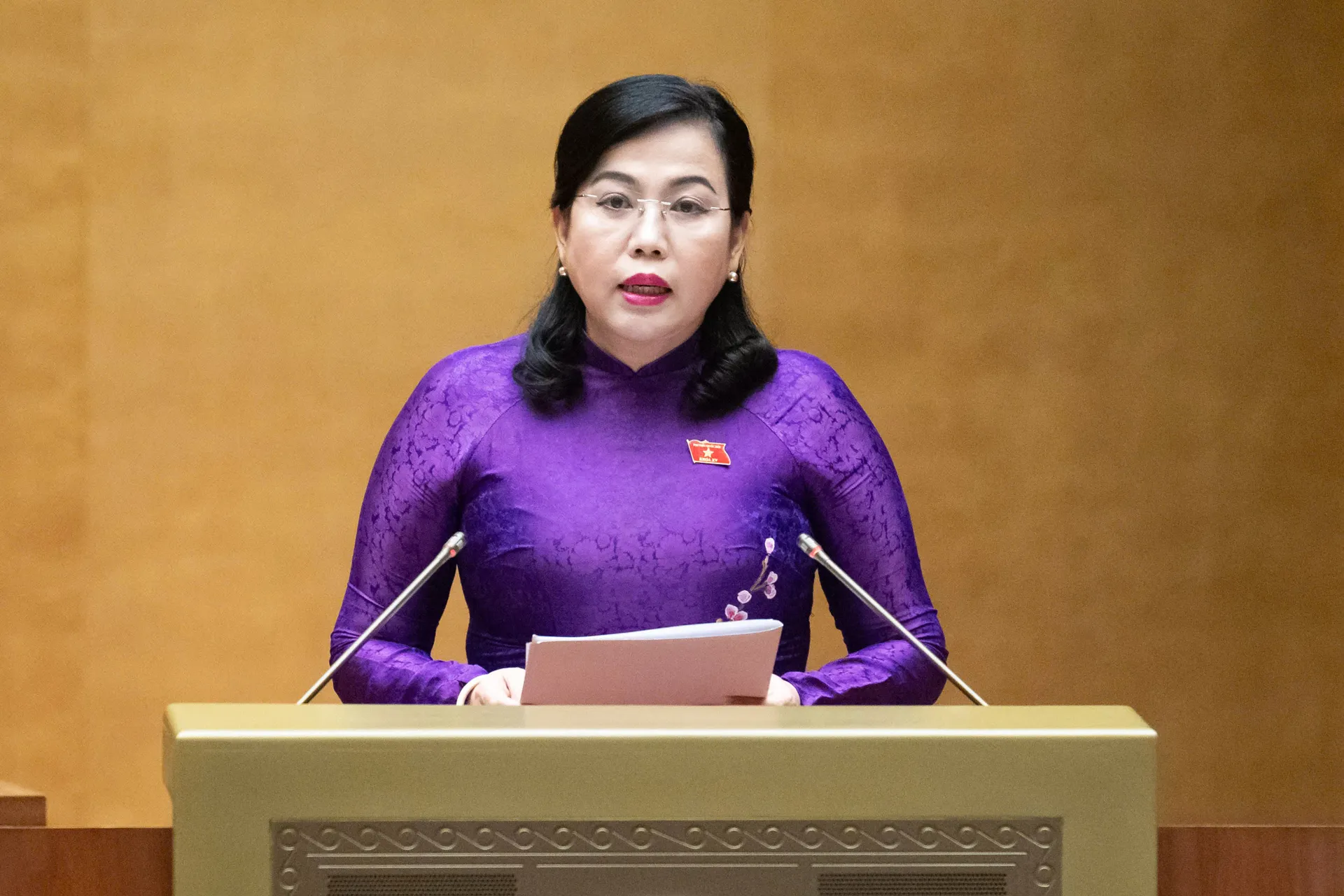 Sửa đổi 25 điều liên quan tới chính quyền địa phương 2 cấp trong Luật Bầu cử đại biểu Quốc hội và đại biểu HĐND
