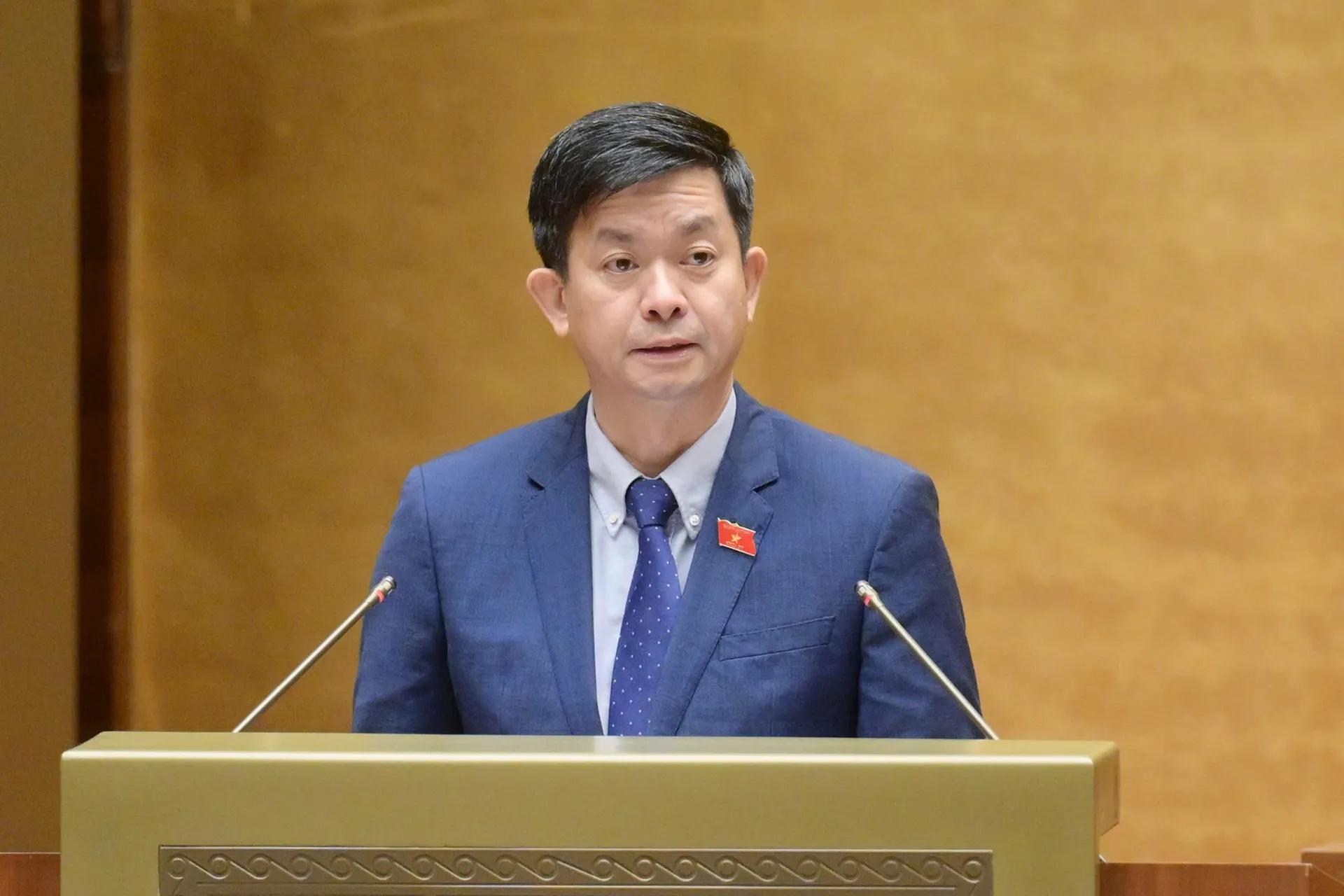 Hình ảnh 2