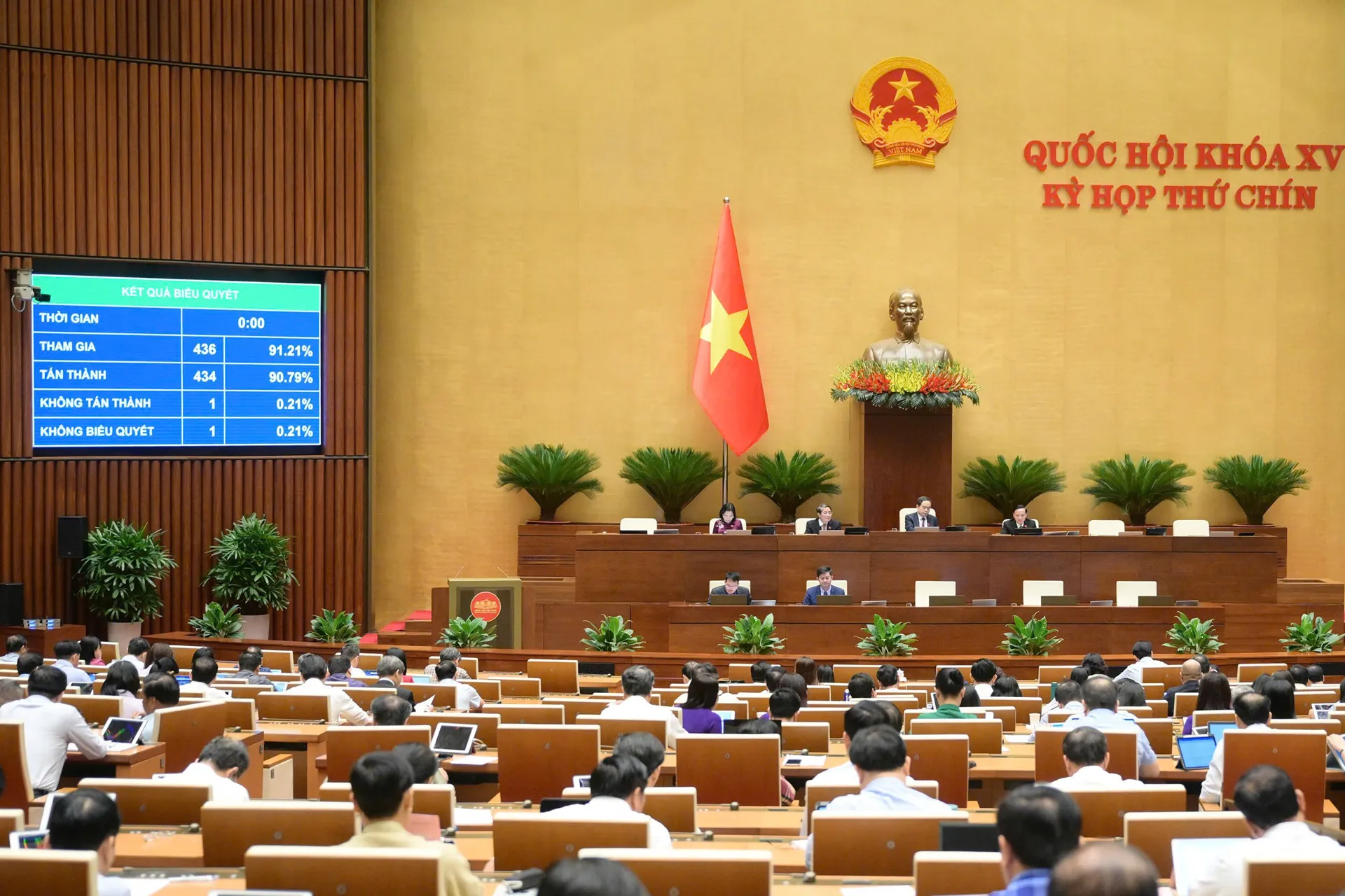Hình ảnh 3