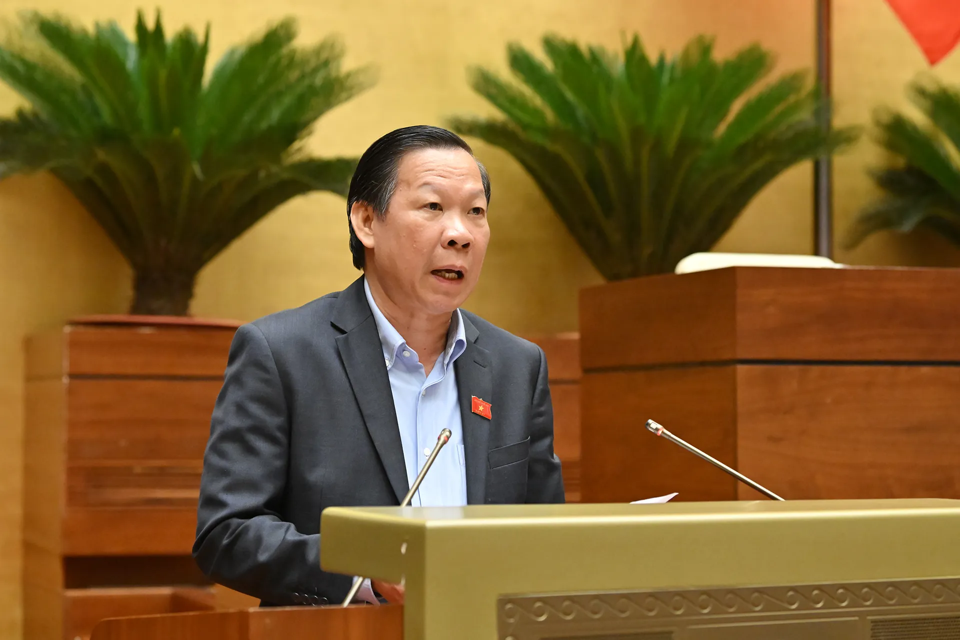 Hình ảnh 3