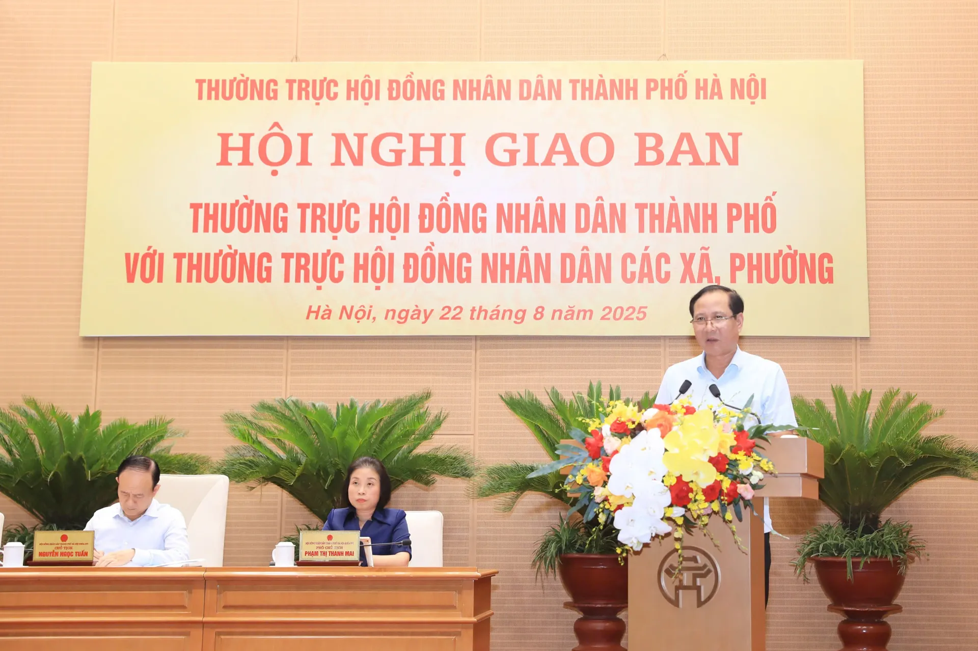 Hình ảnh 2