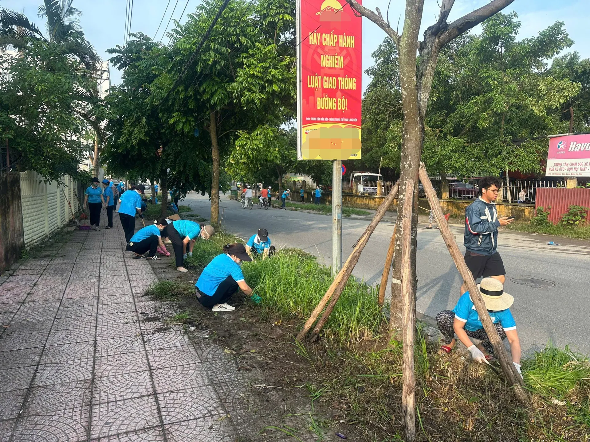 Hình ảnh 1