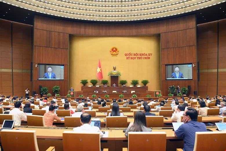 Hình ảnh 3