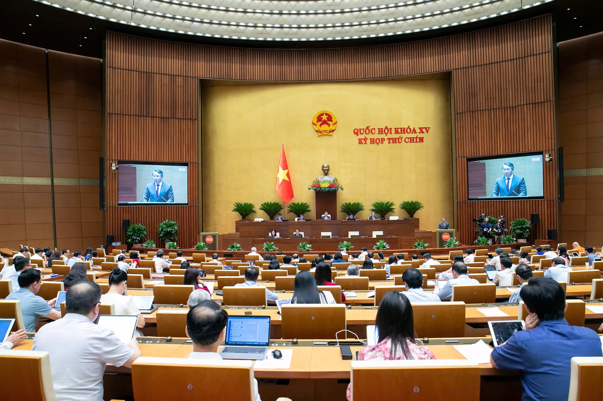 Hình ảnh 2