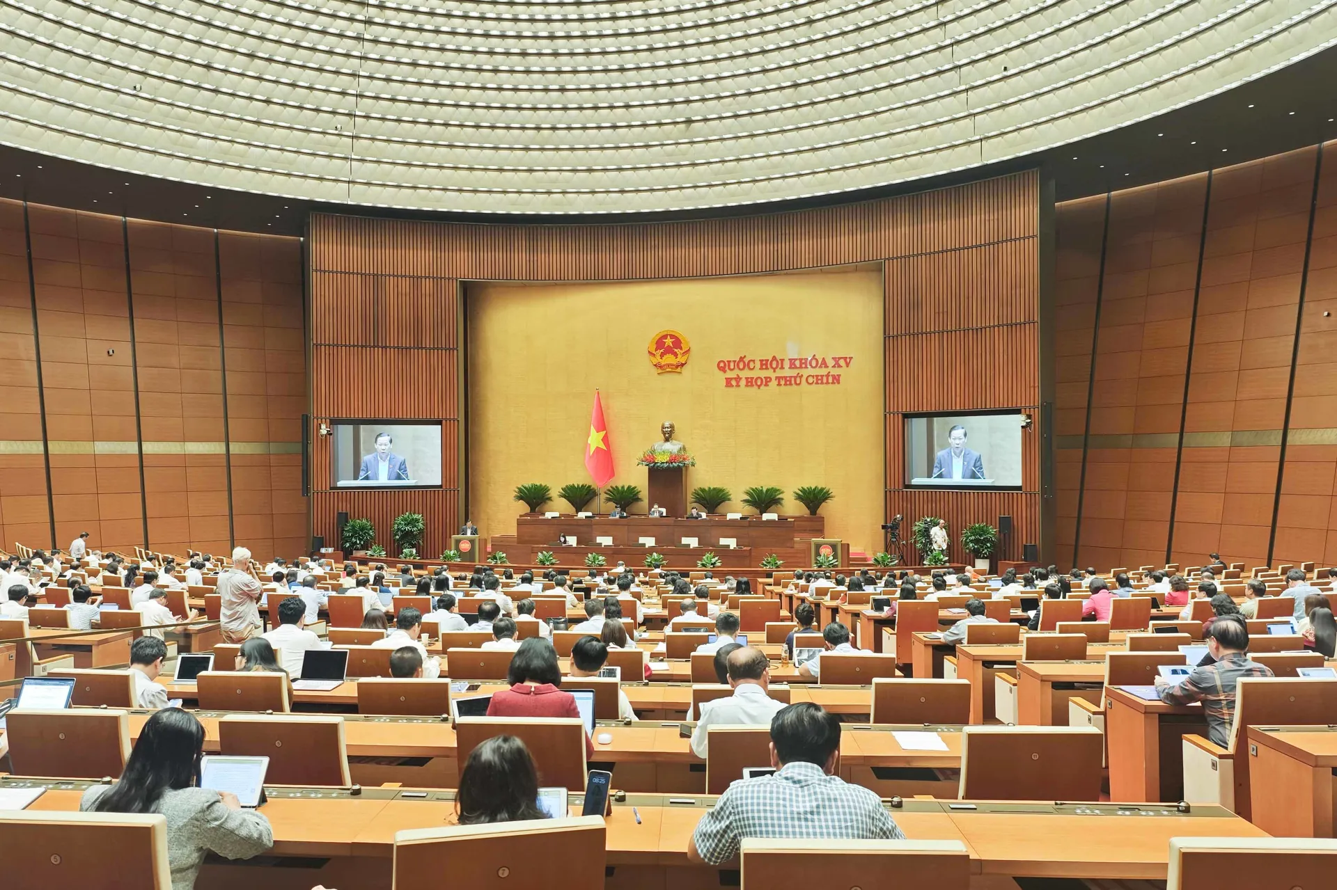 Hình ảnh 2