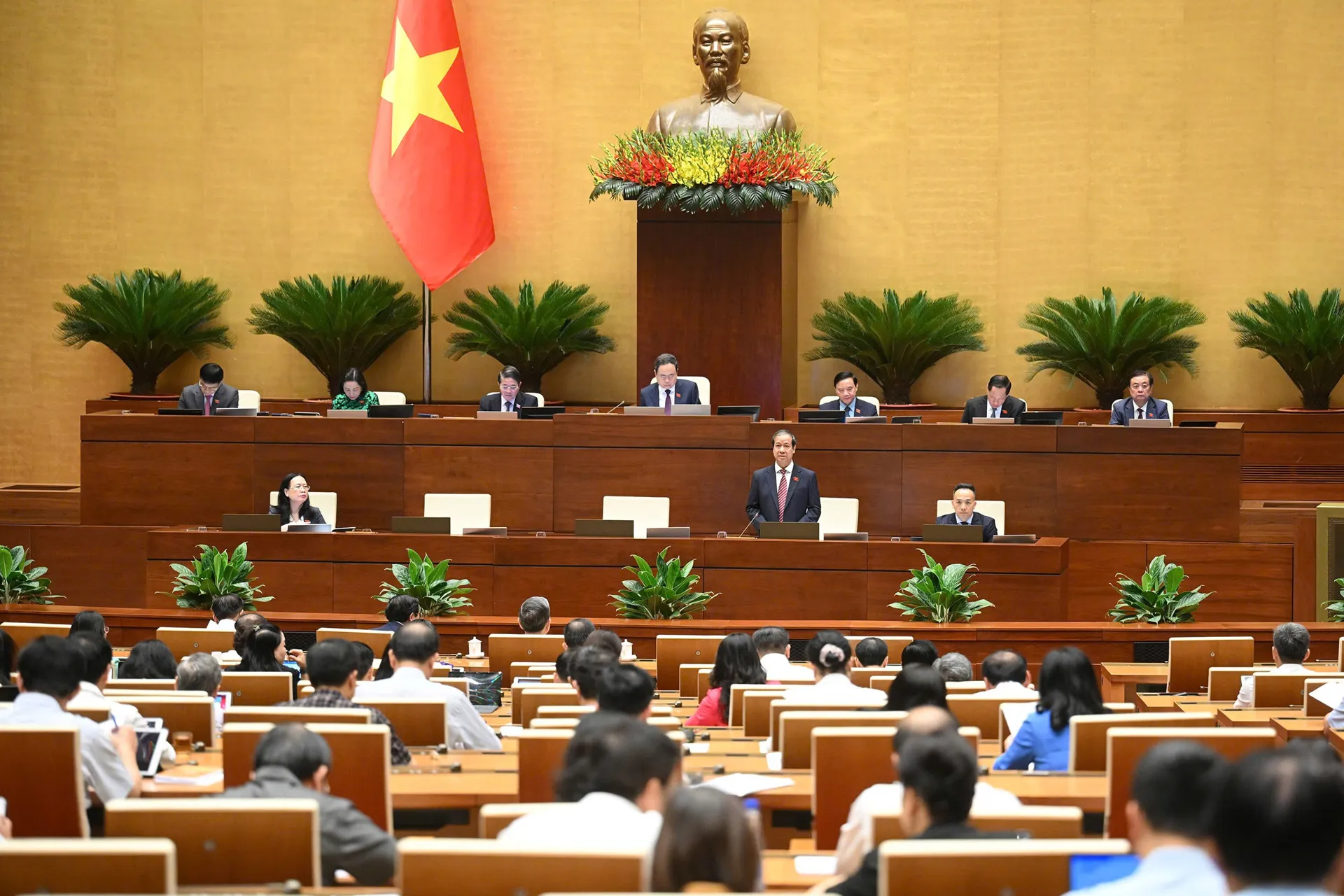 Hình ảnh 2