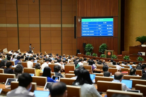 Thống nhất một khái niệm thanh tra, không phân biệt thanh tra hành chính và thanh tra chuyên ngành

