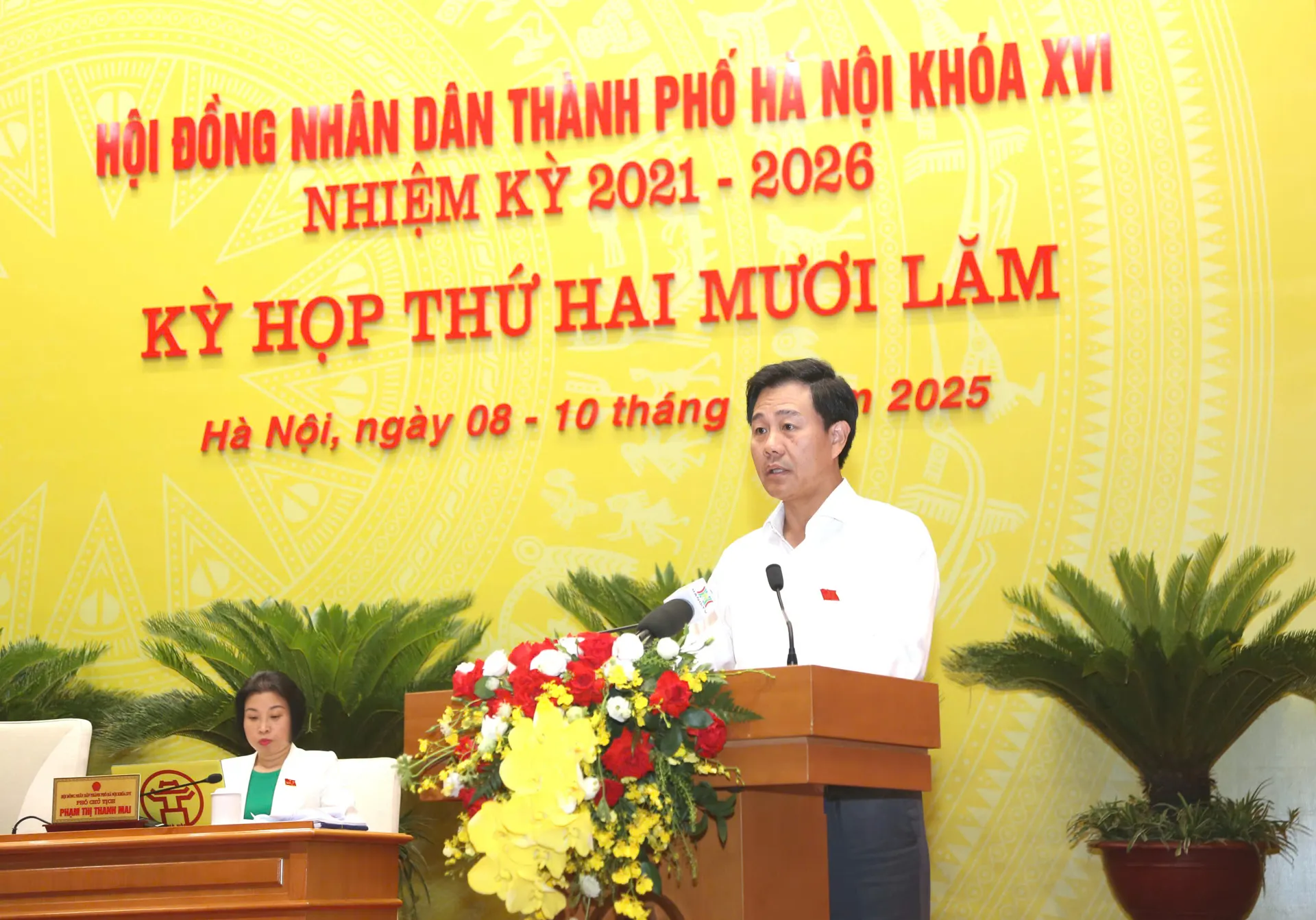 Hình ảnh 1