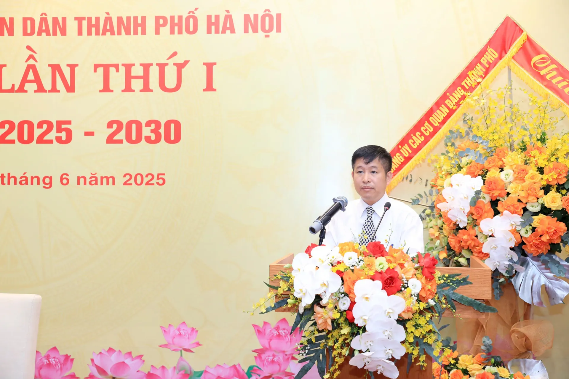 Hình ảnh 5