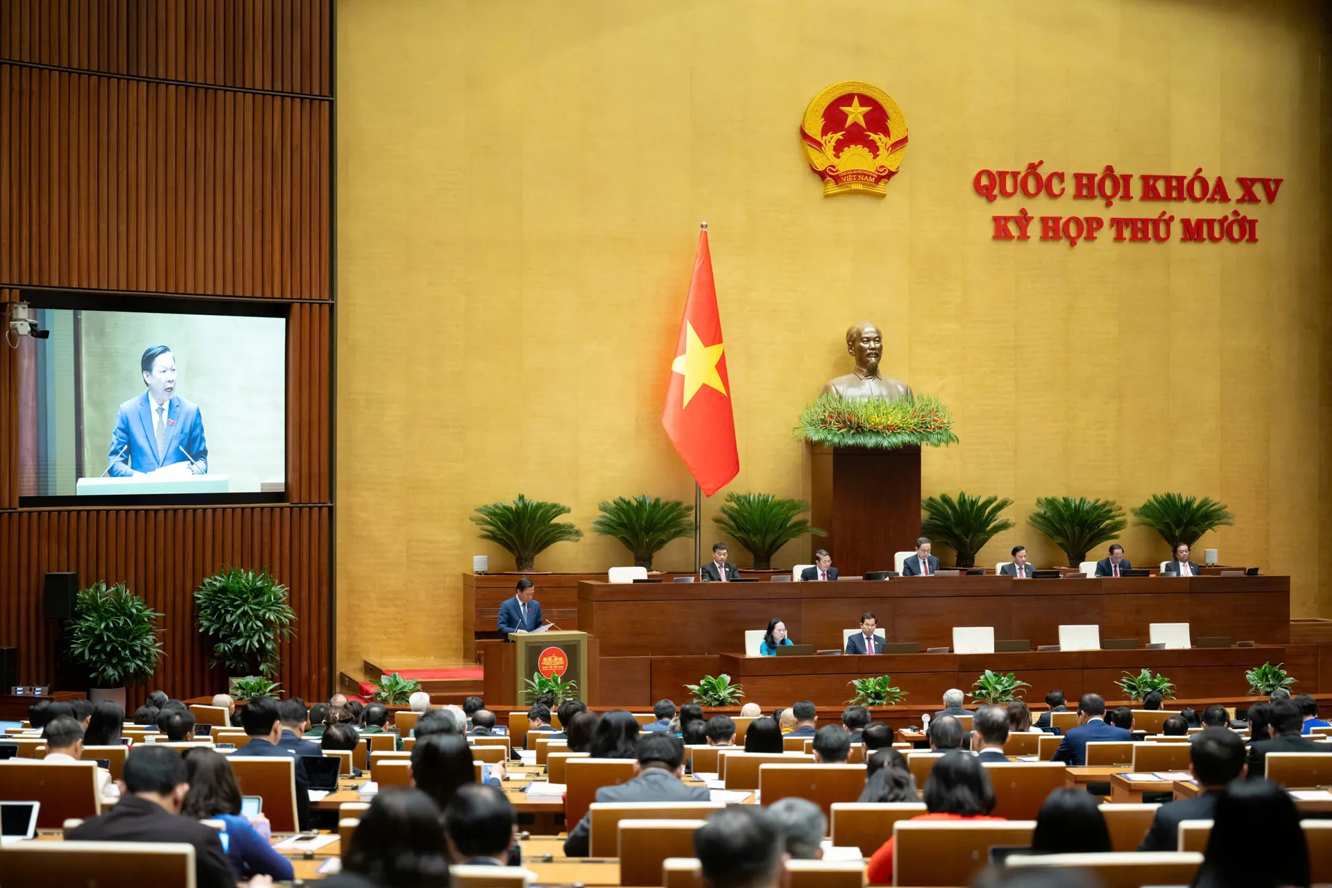 Hình ảnh 3