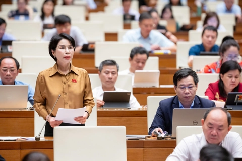 Làm rõ nhiệm vụ, quyền hạn của các cơ quan thanh tra, tránh chồng chéo