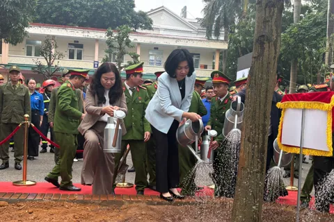 Hà Đông trồng cây xanh góp phần cải thiện cảnh quan môi trường
