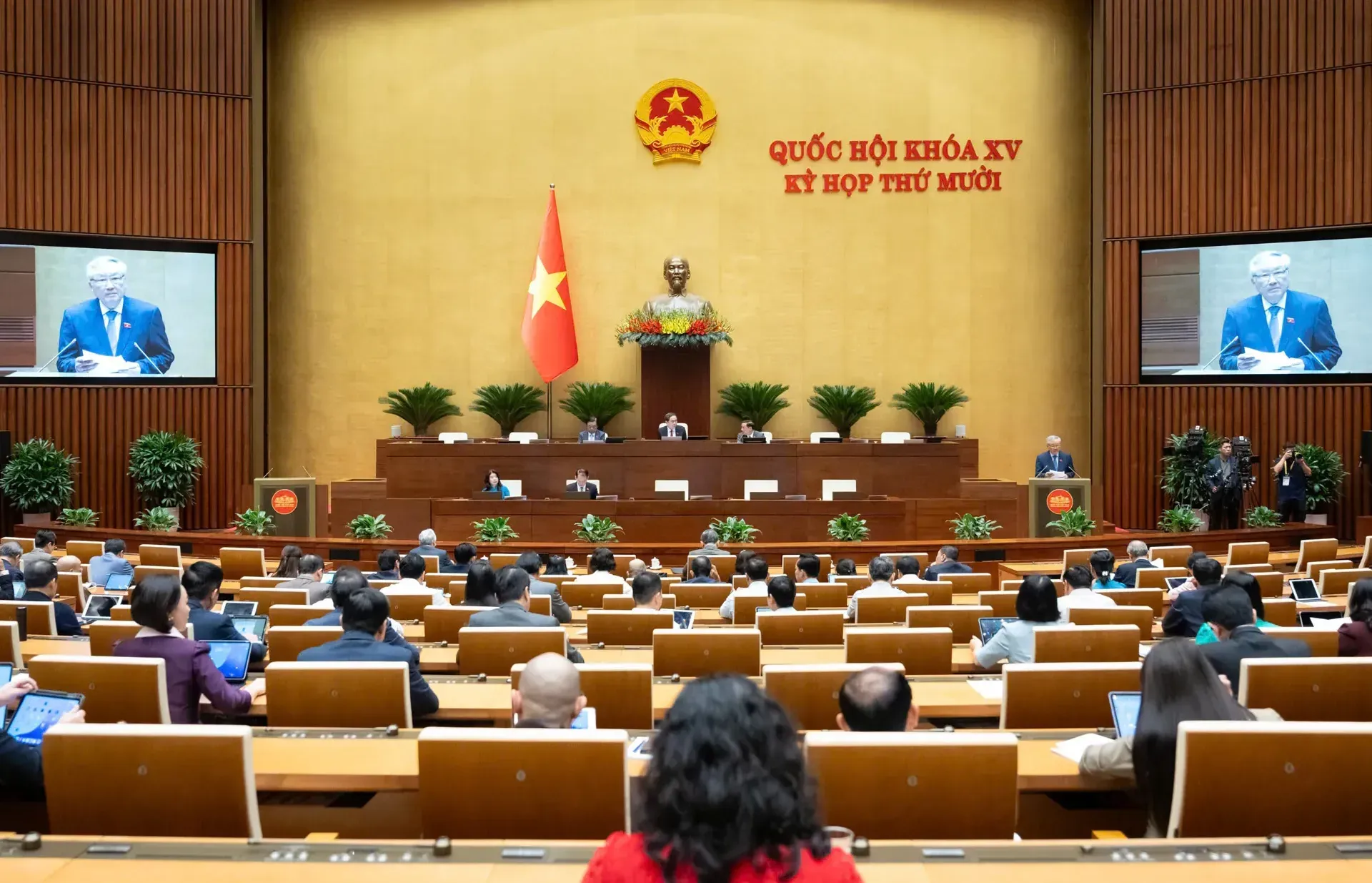 Hình ảnh 3
