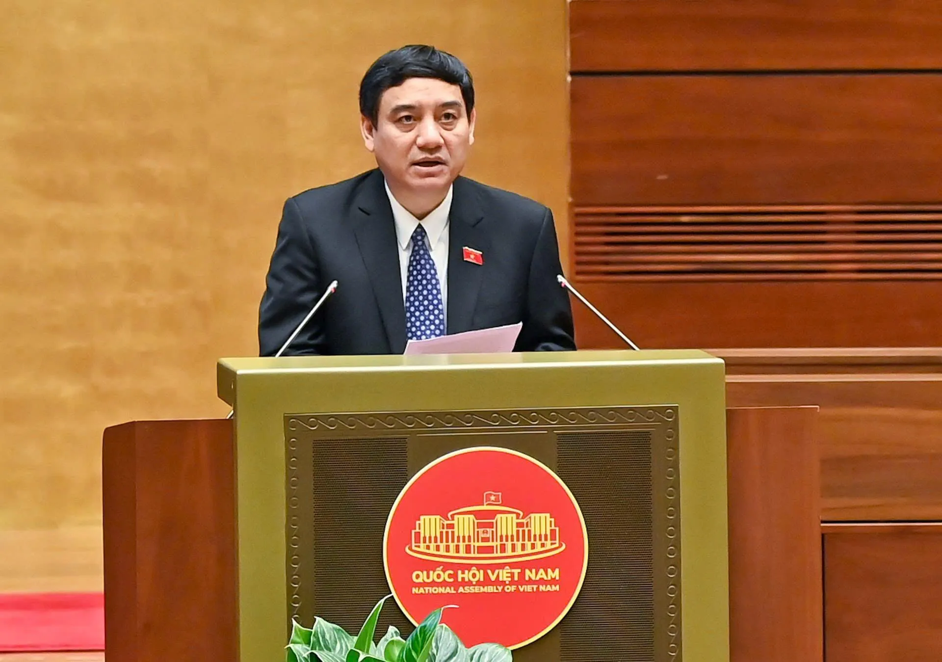 Hình ảnh 3