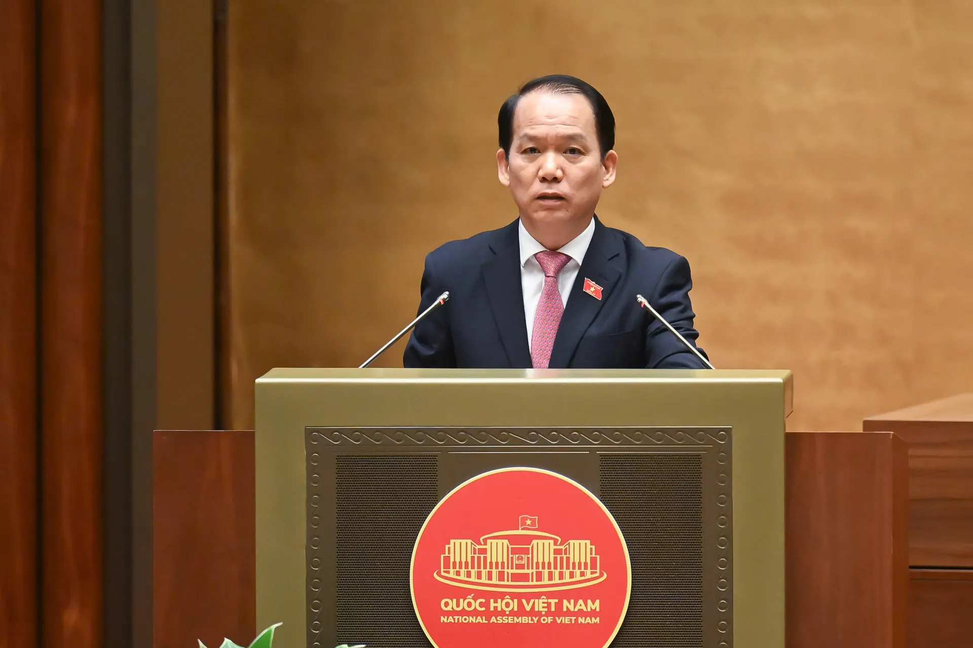 Hình ảnh 5